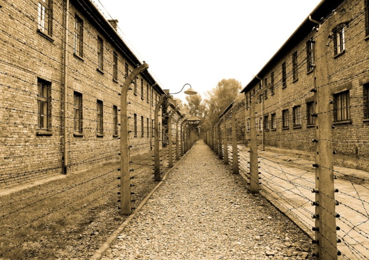 Od lat 90' wokół Auschwitz dzieją się dziwne rzeczy