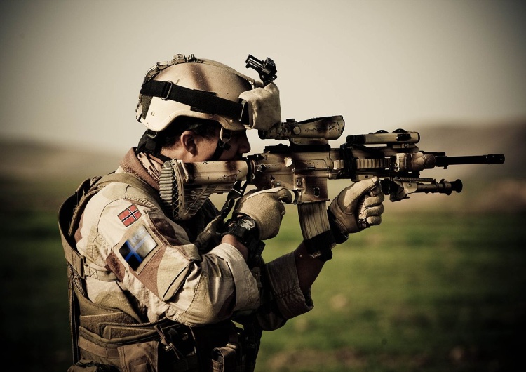 Загадочное исчезновение солдат в Норвегии. Услуги в условиях полной мобилизации