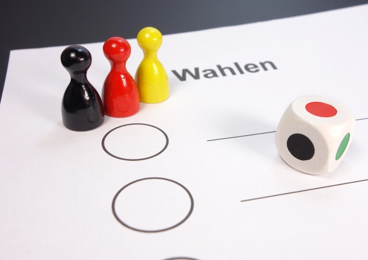 One 3rd  of Germans request  a recount of the votes cast in the national  elections