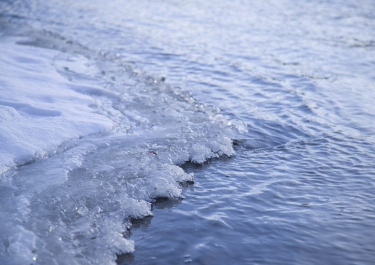 Pies na zamarzniętej rzece. Strażacy użyli drona