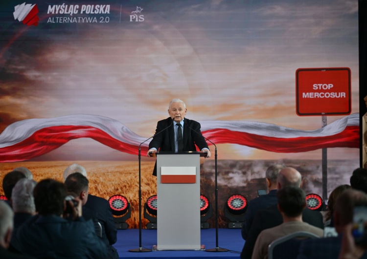 „To bardzo ważna, silna grupa społeczna”. Kaczyński o znaczeniu polskiej wsi i rolników